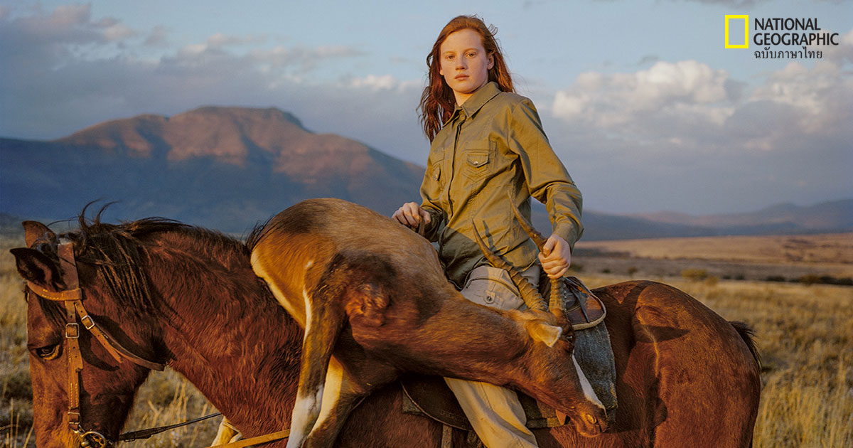 ล่าสัตว์