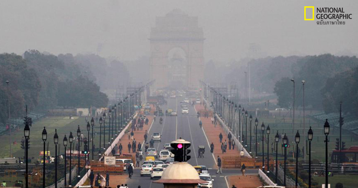 ฝุ่นละออง