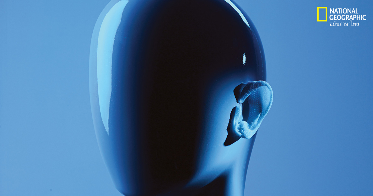 พิมพ์อวัยวะ