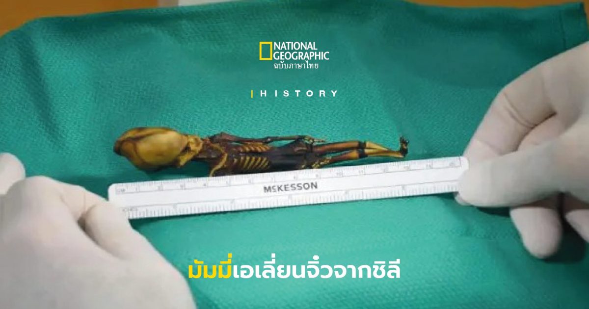 ไขข้อเท็จจริงมัมมี่เอเลี่ยนจิ๋วจากชิลี