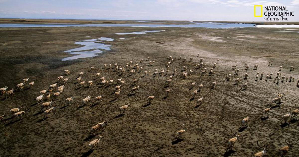 โลกร้อน