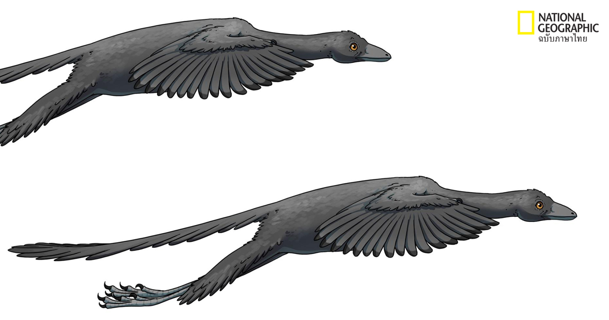 ไดโนเสาร์บินได้