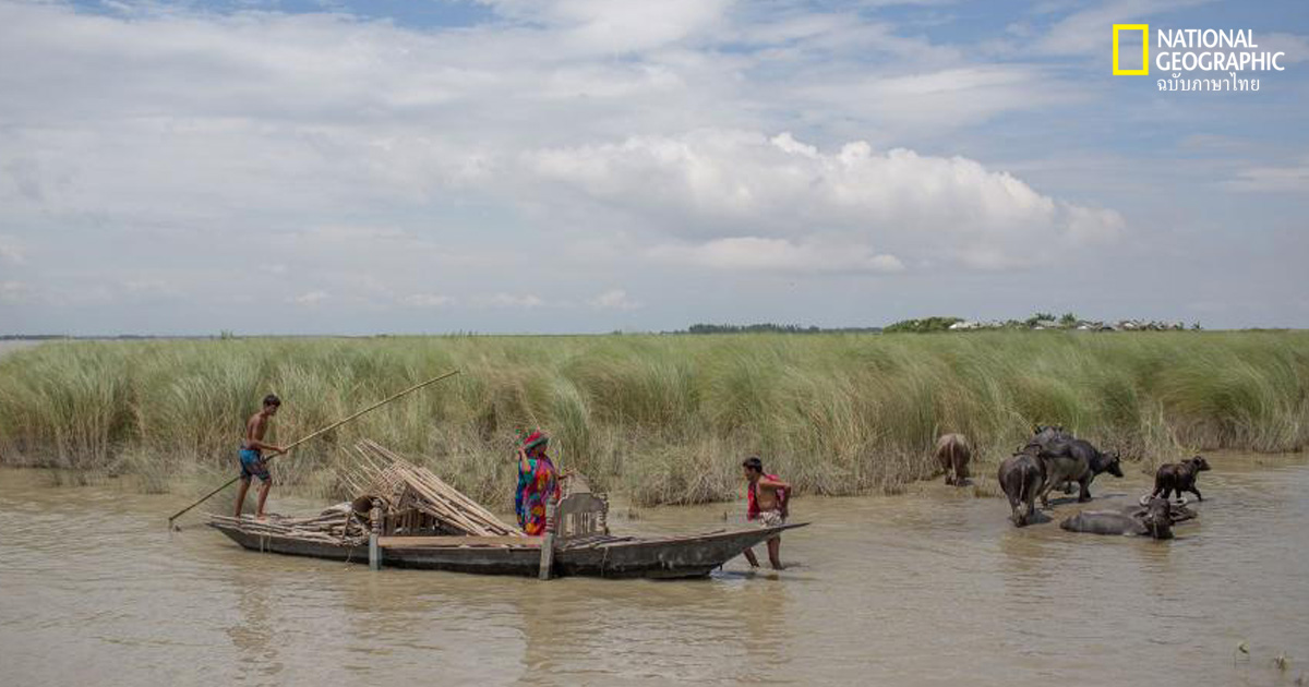 ผู้ลี้ภัย