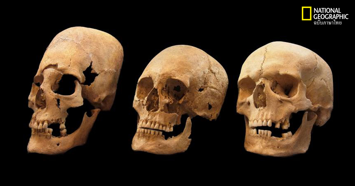 กะโหลกศีรษะ