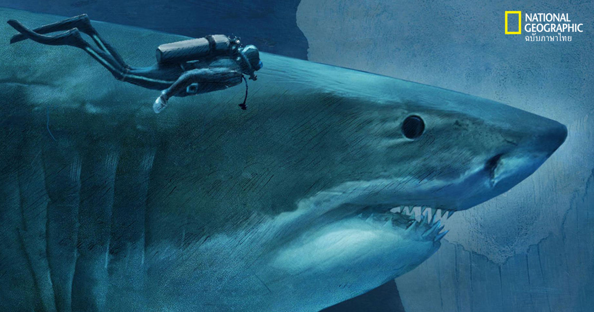 เมกาโลดอน