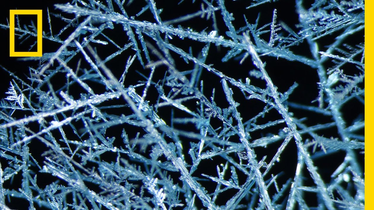 ปฏิกิริยาเคมี