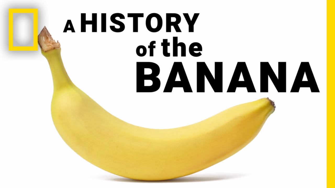 ประวัติศาสตร์กล้วย