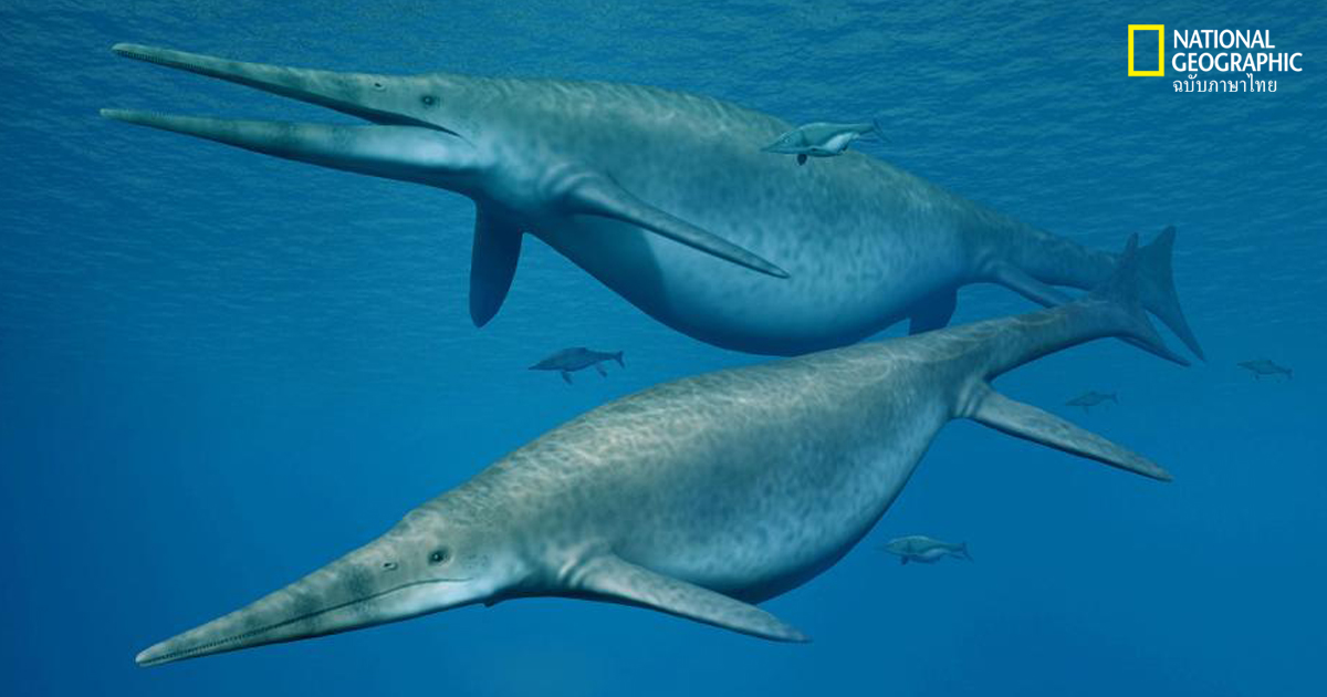 อิกทิโอซอรัส