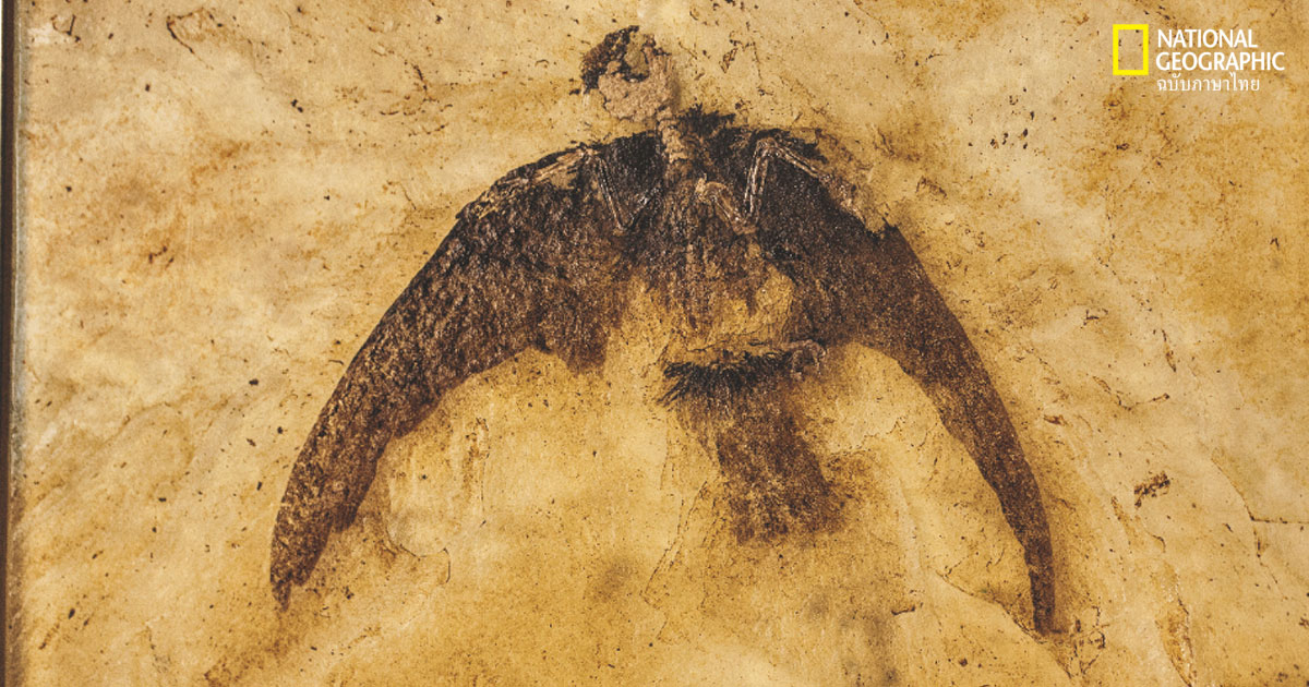 ไดโนเสาร์ที่ยังไม่สูญพันธุ์