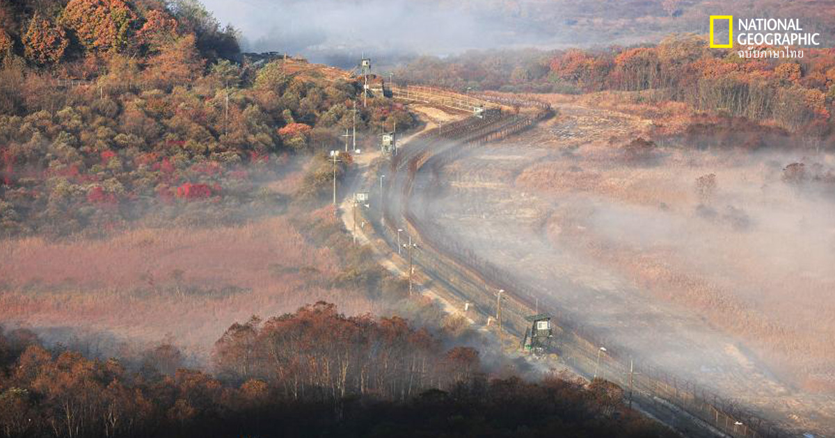 ความขัดแย้งของเกาหลี