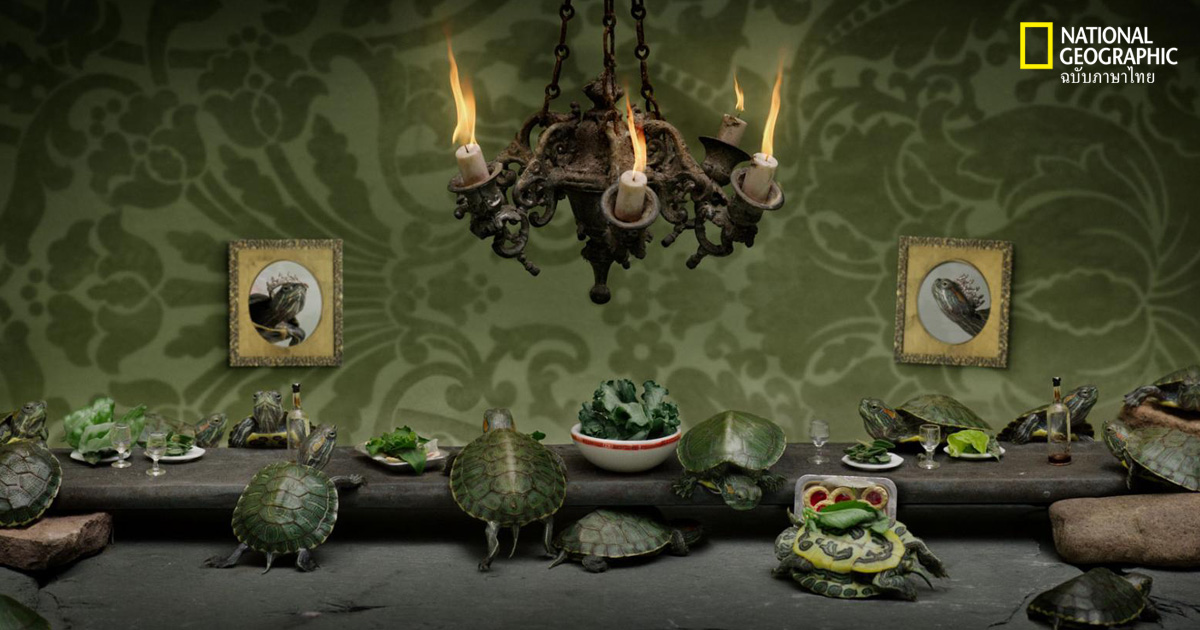 โต๊ะอาหาร