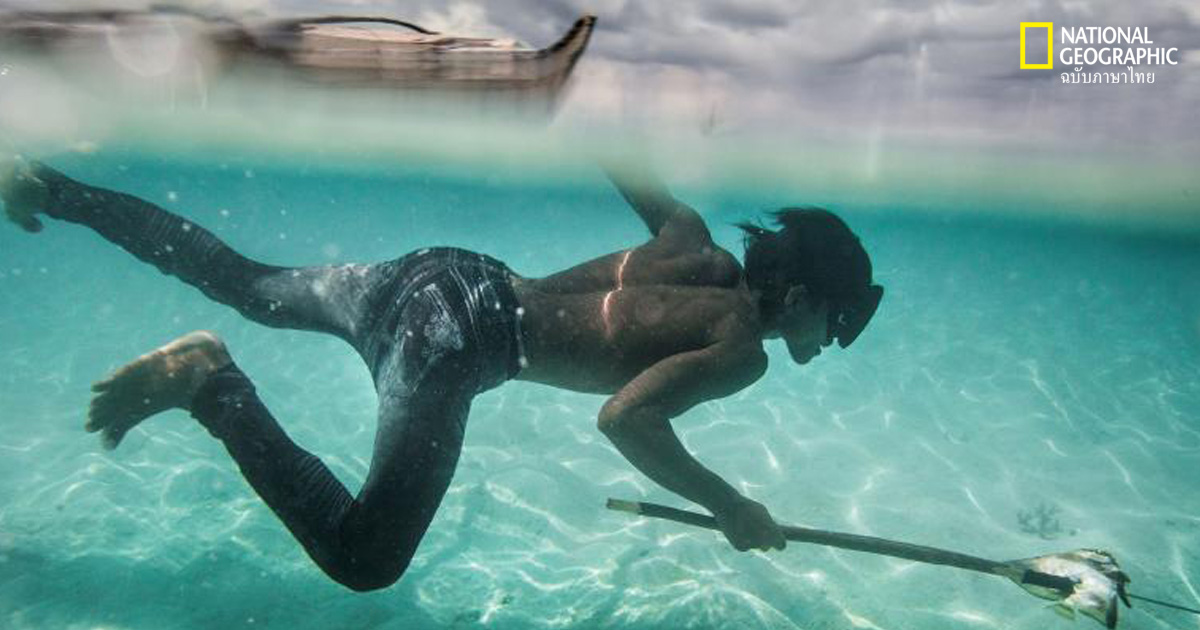 ชาวบาจาว