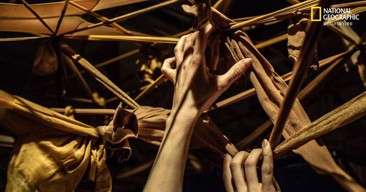 เอช. เอช. โฮล์มส์