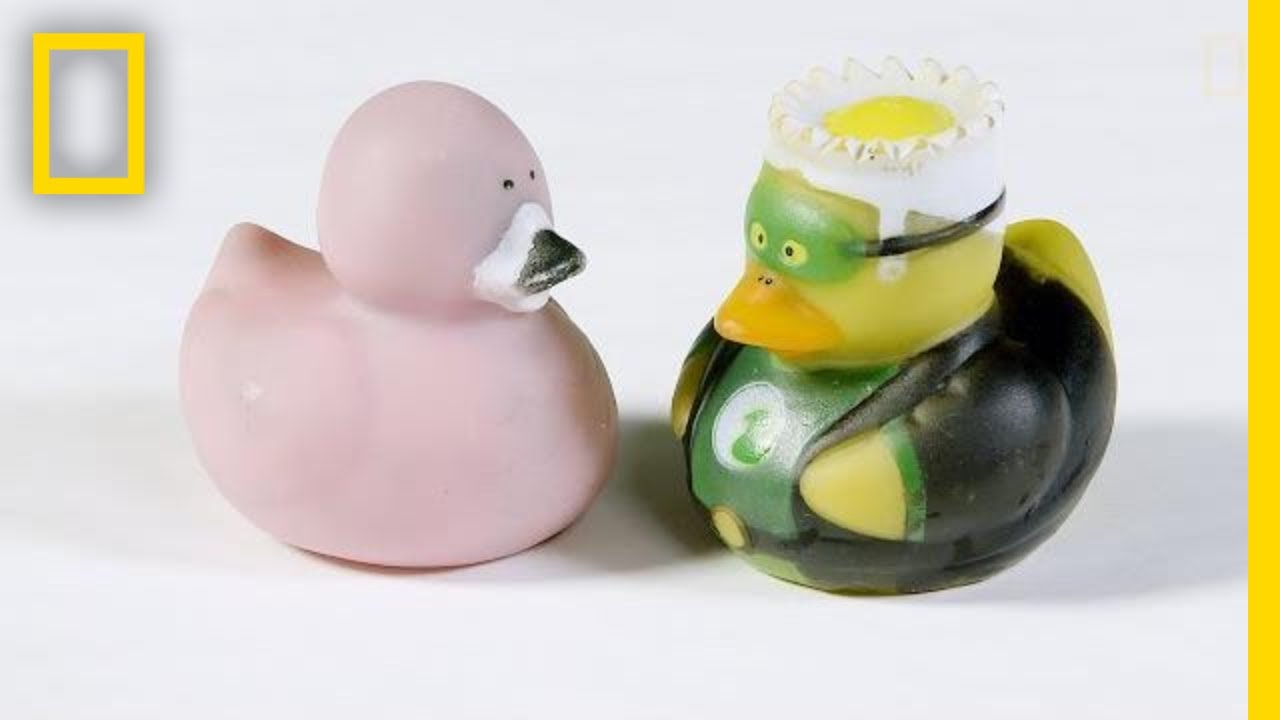 เชื้อโรค