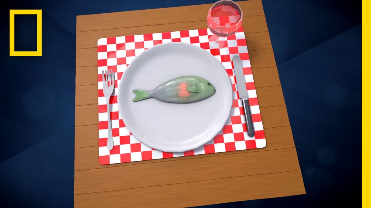 ชมวงจรขยะพลาสติกผ่านอนิเมชั่น