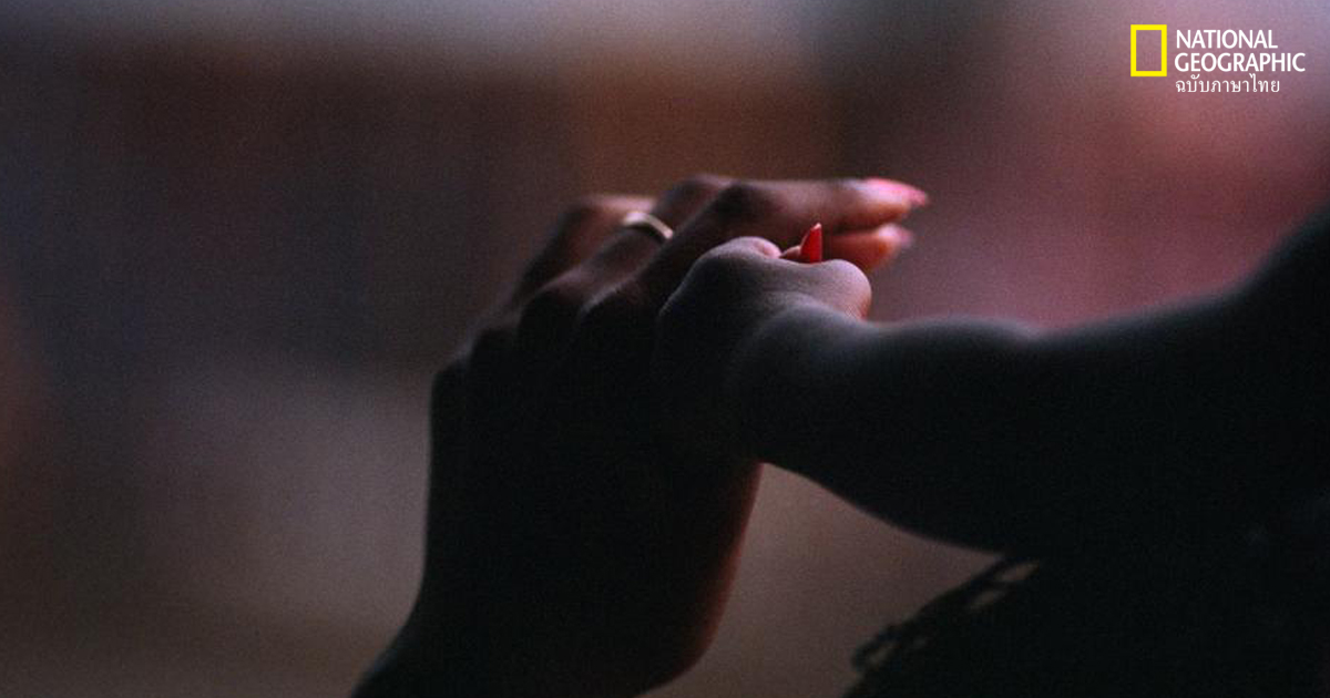 สัญชาตญาณความเป็นแม่