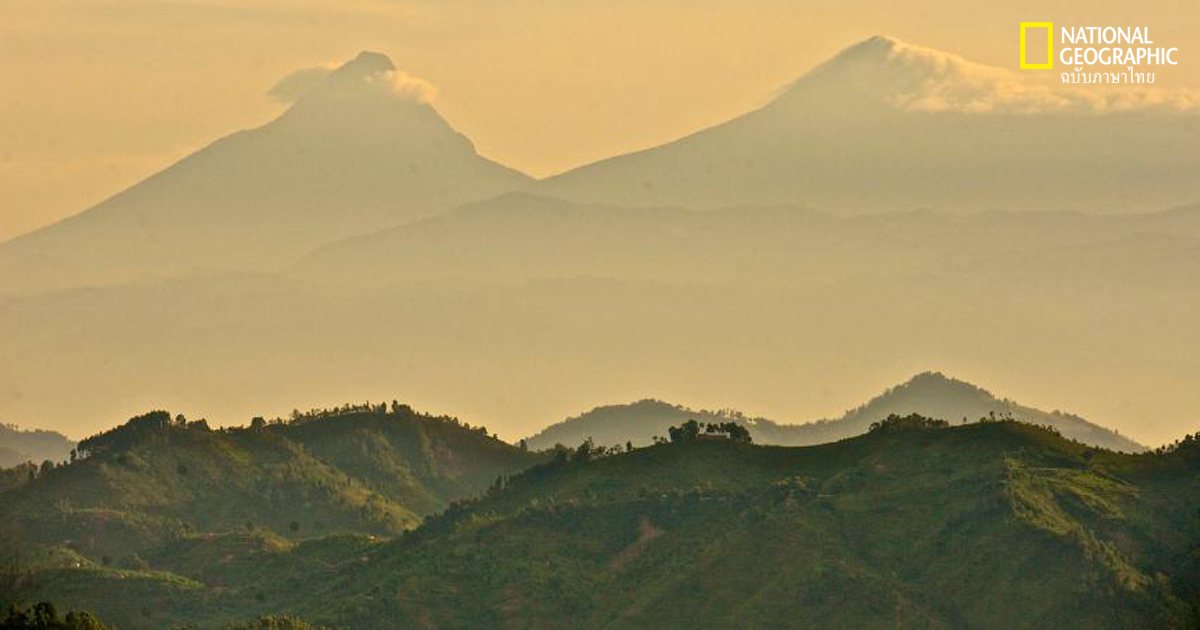 พื้นที่คุ้มครอง