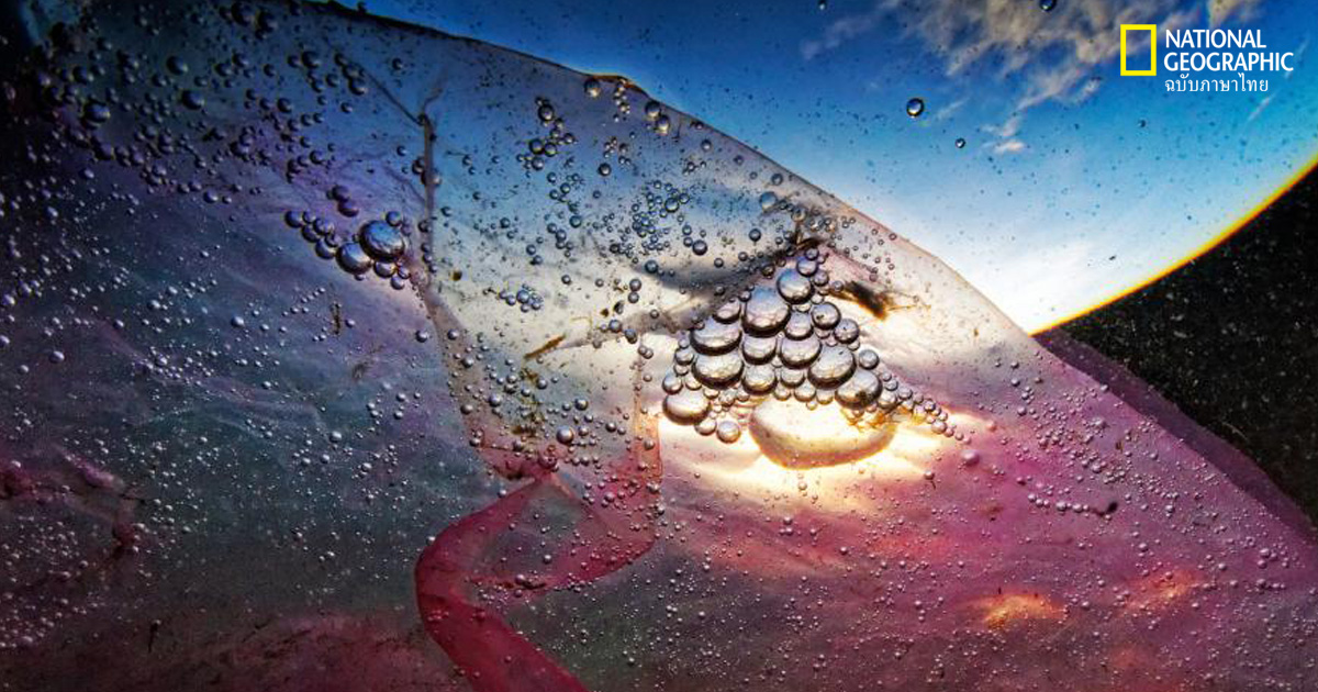 ถุงพลาสติก