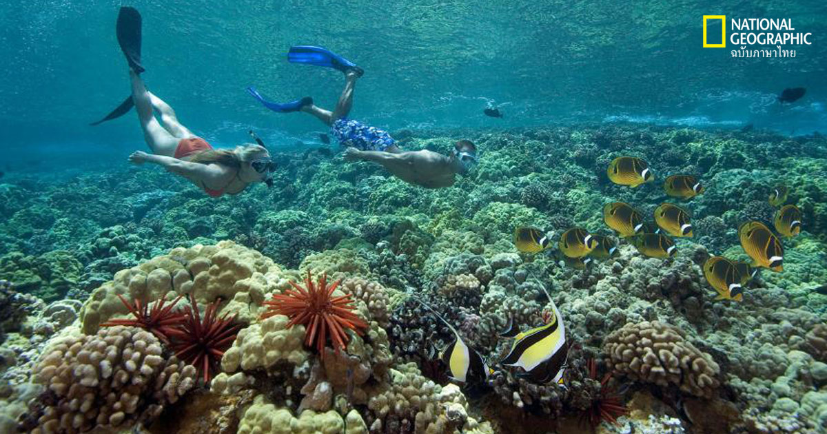 ครีมกันแดด