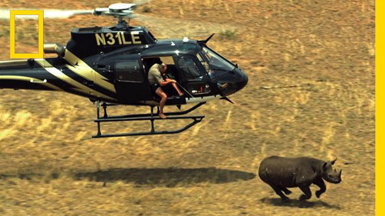 ชมการปกป้องสัตว์ป่าของเจ้าหน้าที่อุทยาน