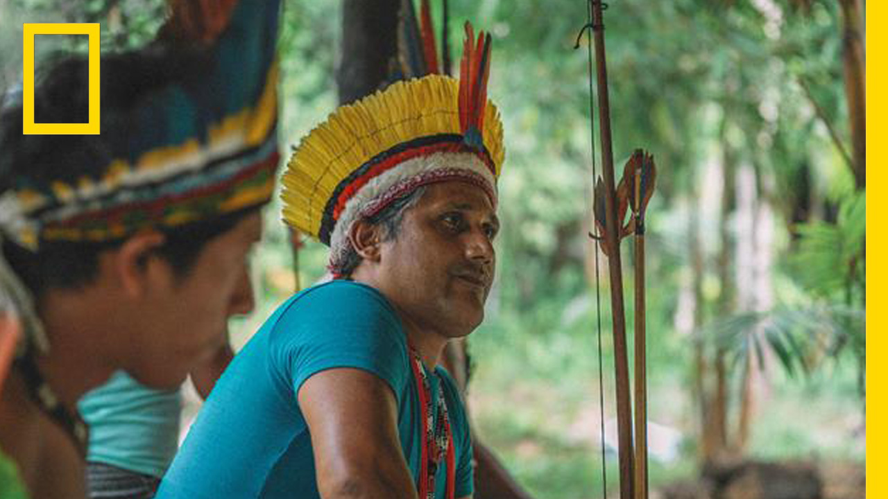 โทรศัพท์มือถือจะช่วยผืนป่าได้อย่างไร?