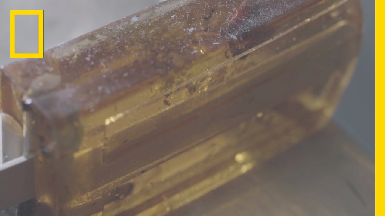 ไอศกรีมจากขยะพลาสติก