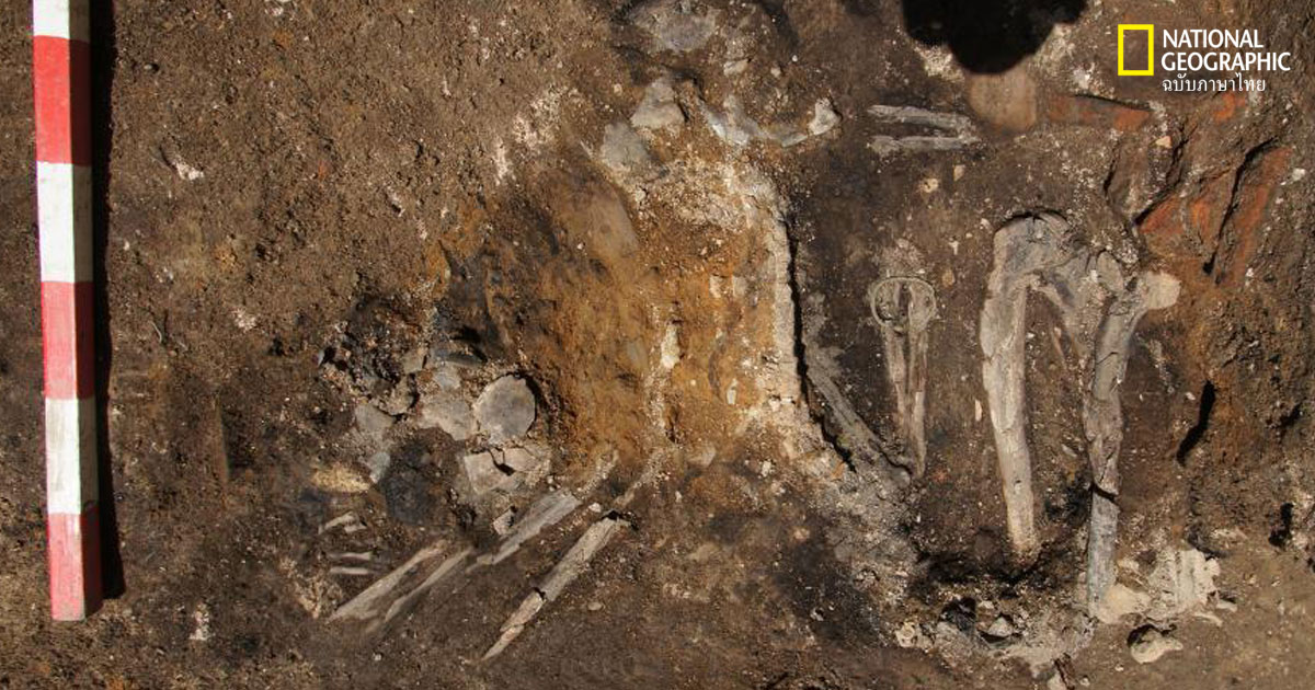 โครงกระดูกมอดไหม้ หลักฐานการรุกรานของชาวกอท