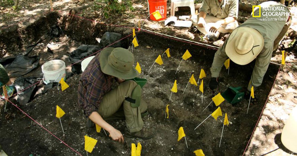 ชนพื้นเมืองในฟลอริดา