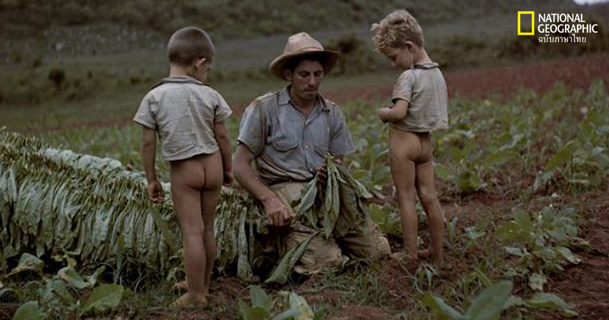 วันพ่อสากล