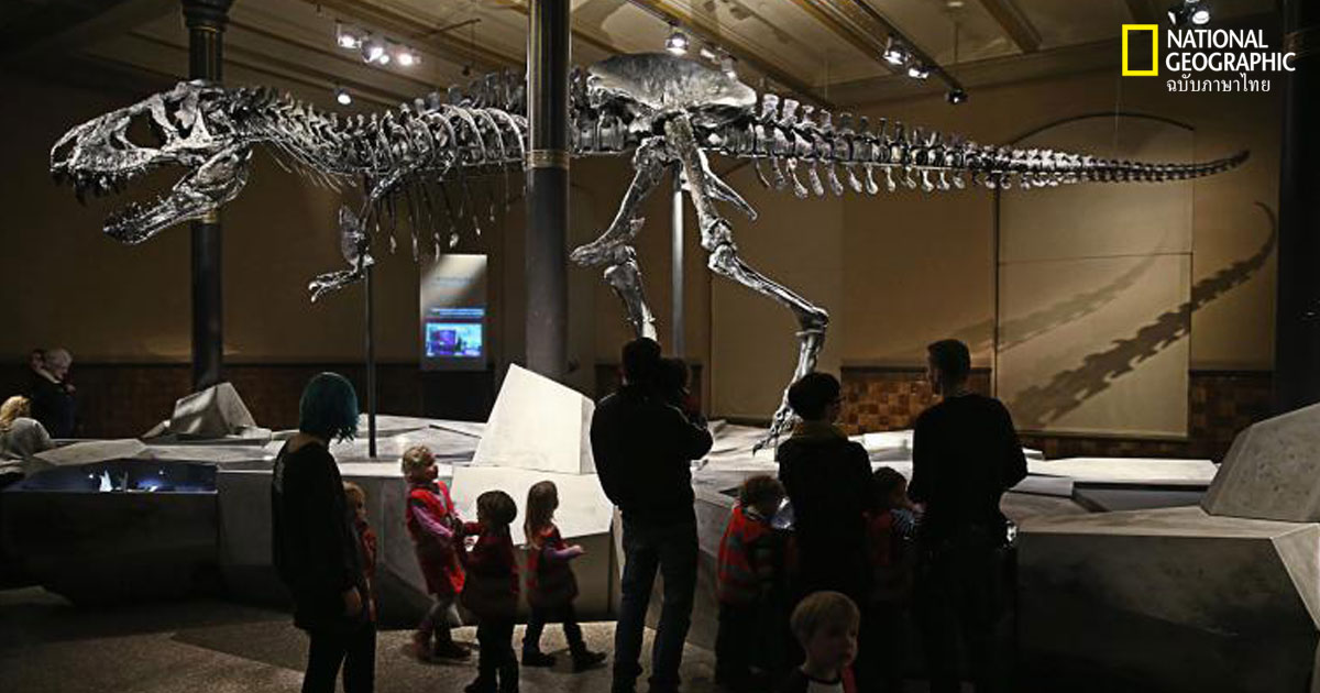 ไดโนเสาร์