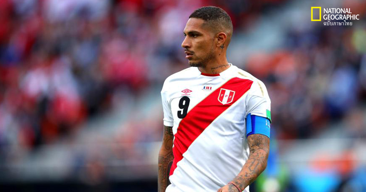 ฟุตบอลโลก