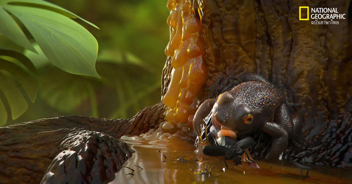 กบโบราณ