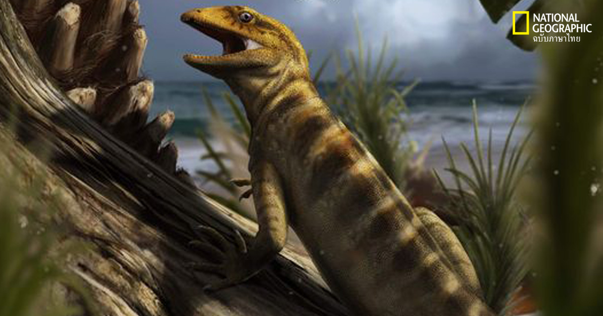 ฟอสซิลกิ้งก่า