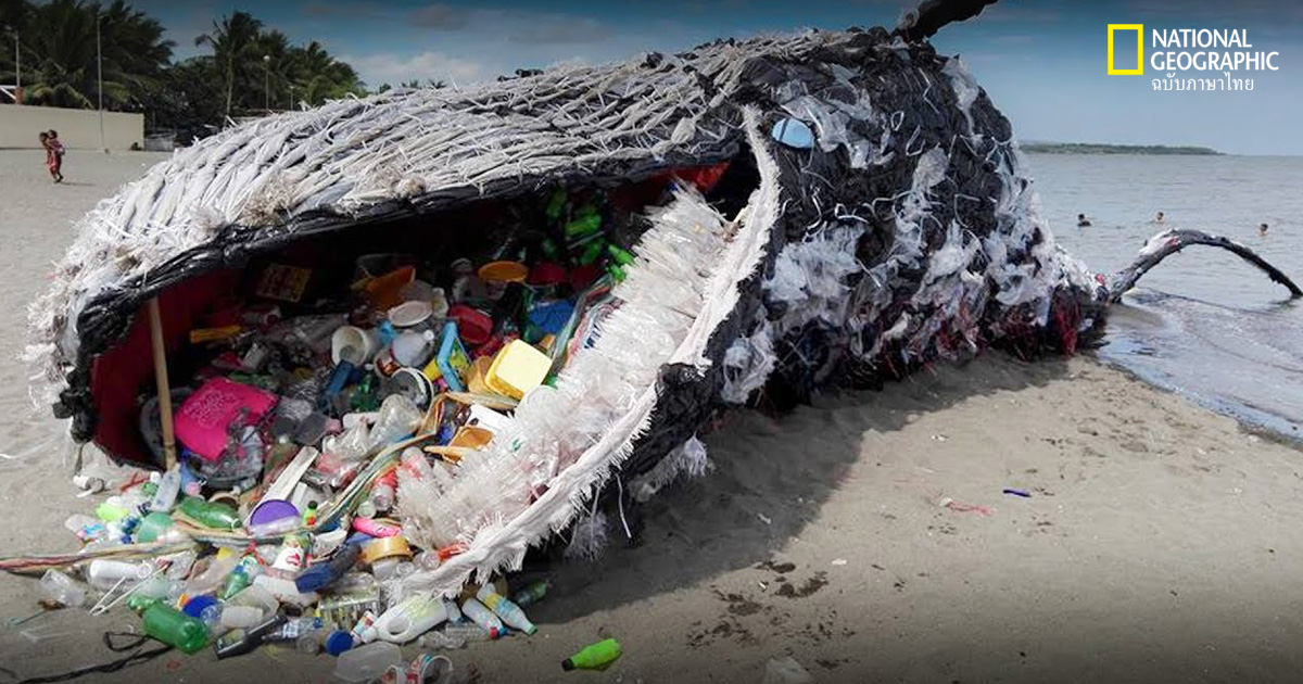 5 คำถามสำคัญเนื่องในวันสิ่งแวดล้อมโลก