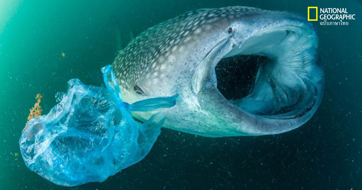 โลกพลาสติก