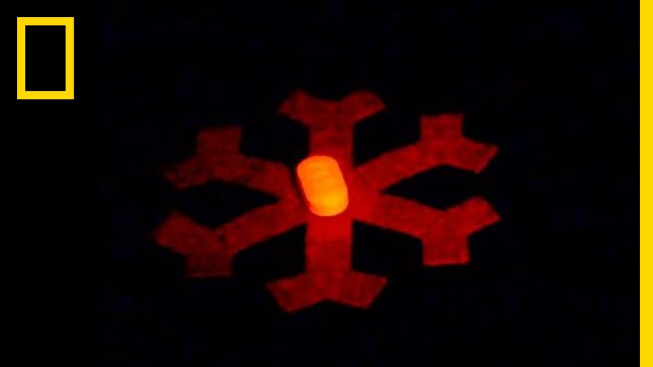 หุ่นยนต์ที่ถูกควบคุมโดยแม่เหล็ก