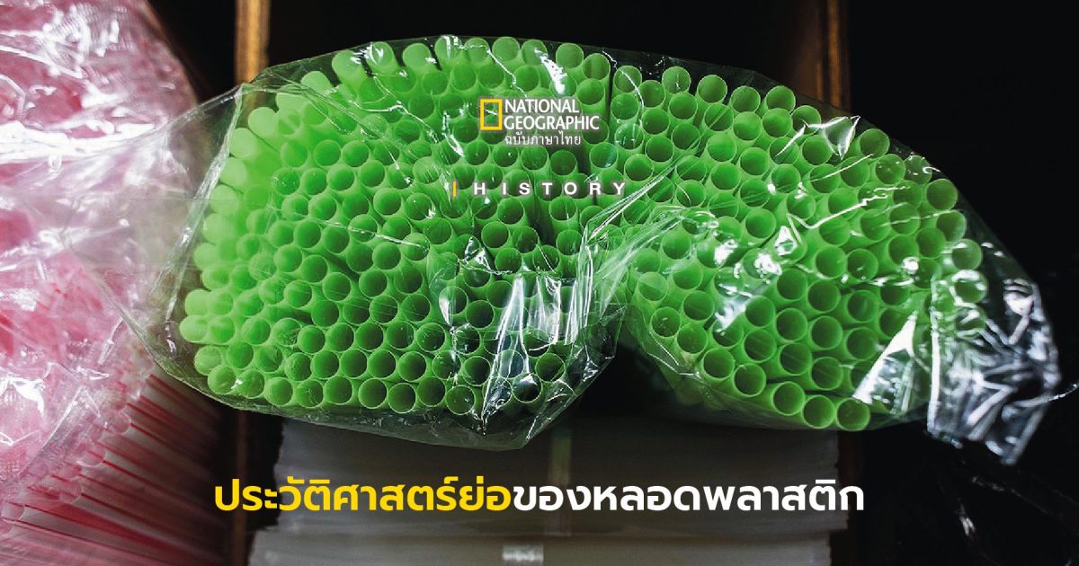 หลอดพลาสติก