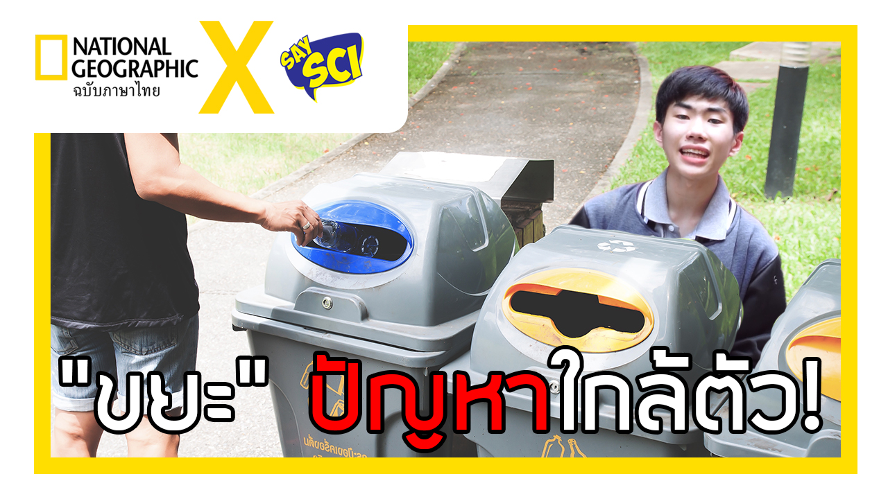 การแยกขยะ