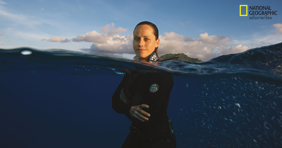 สัตว์นักล่า