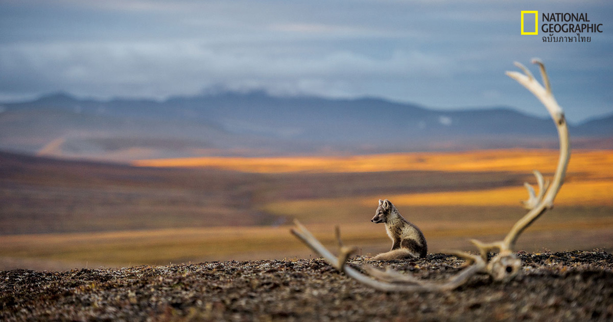 สิ่งแวดล้อมในรัสเซีย