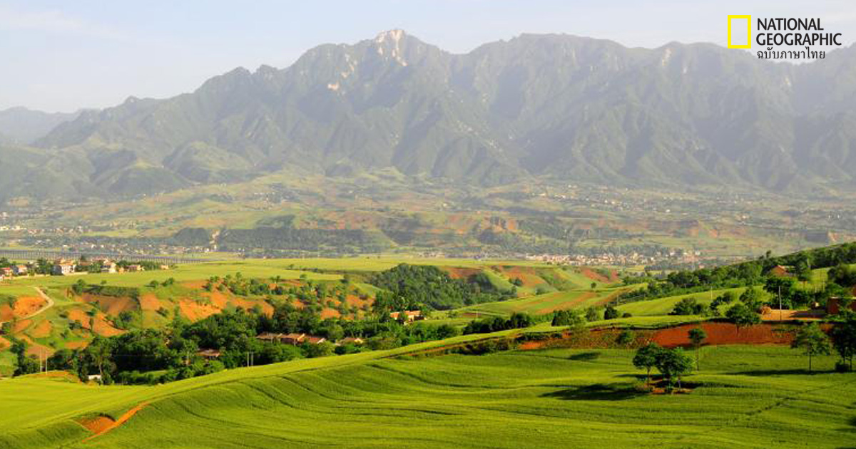 เครื่องมือหิน