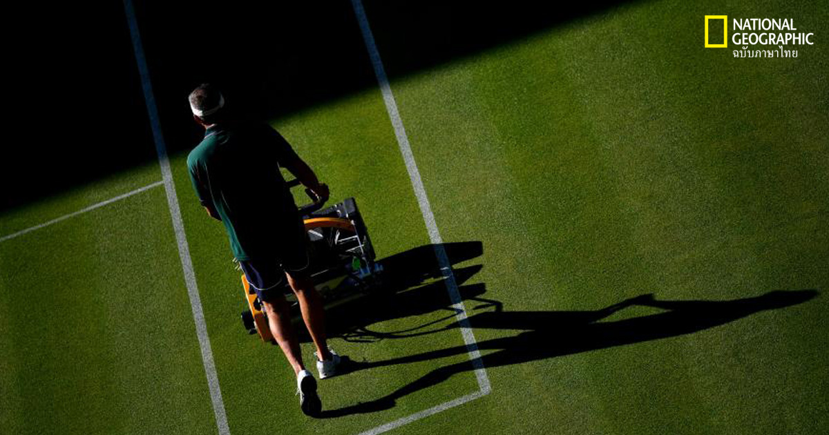 วิมเบิลดัน