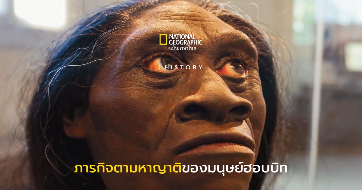 ภารกิจตามหาญาติของมนุษย์ฮอบบิท