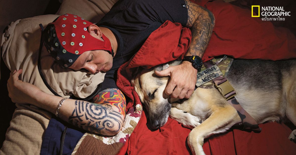 นอนหลับ