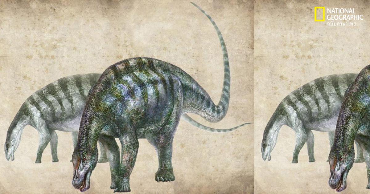 ซอโรพอด