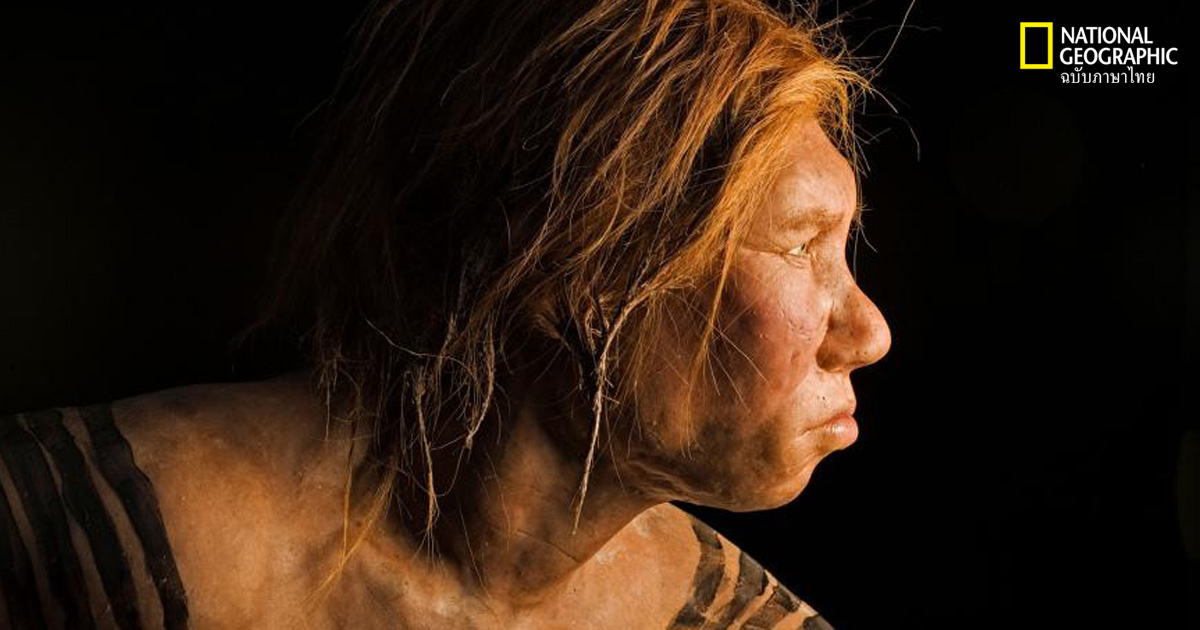 มนุษย์เดนิโซวัน