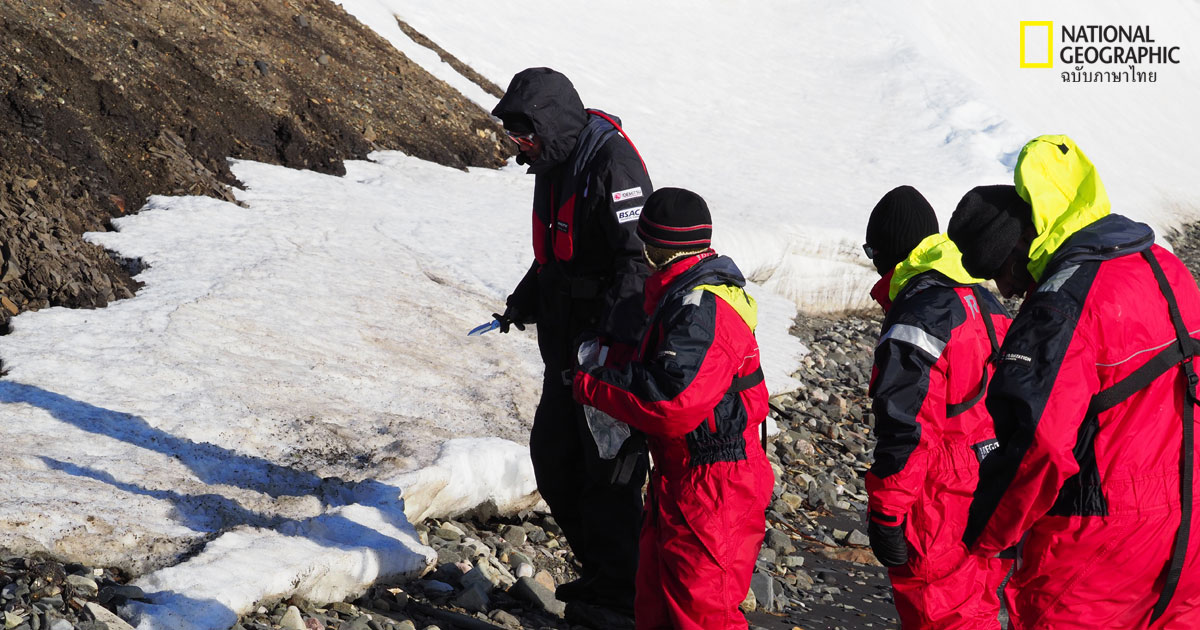 ขั้วโลกเหนือ