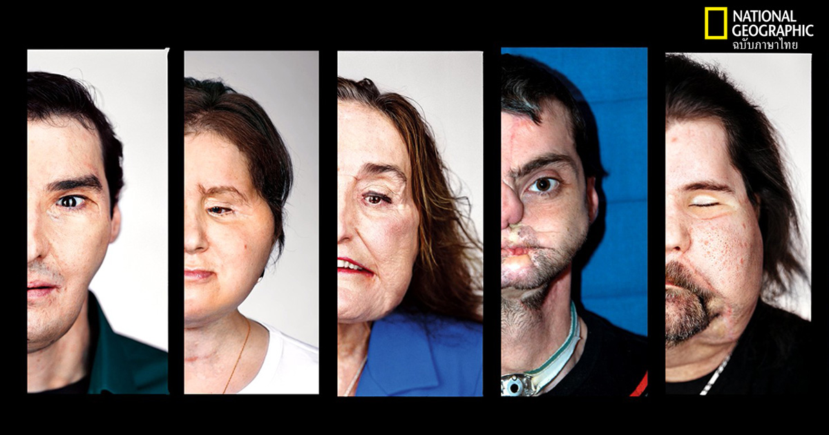 ใบหน้าใหม่