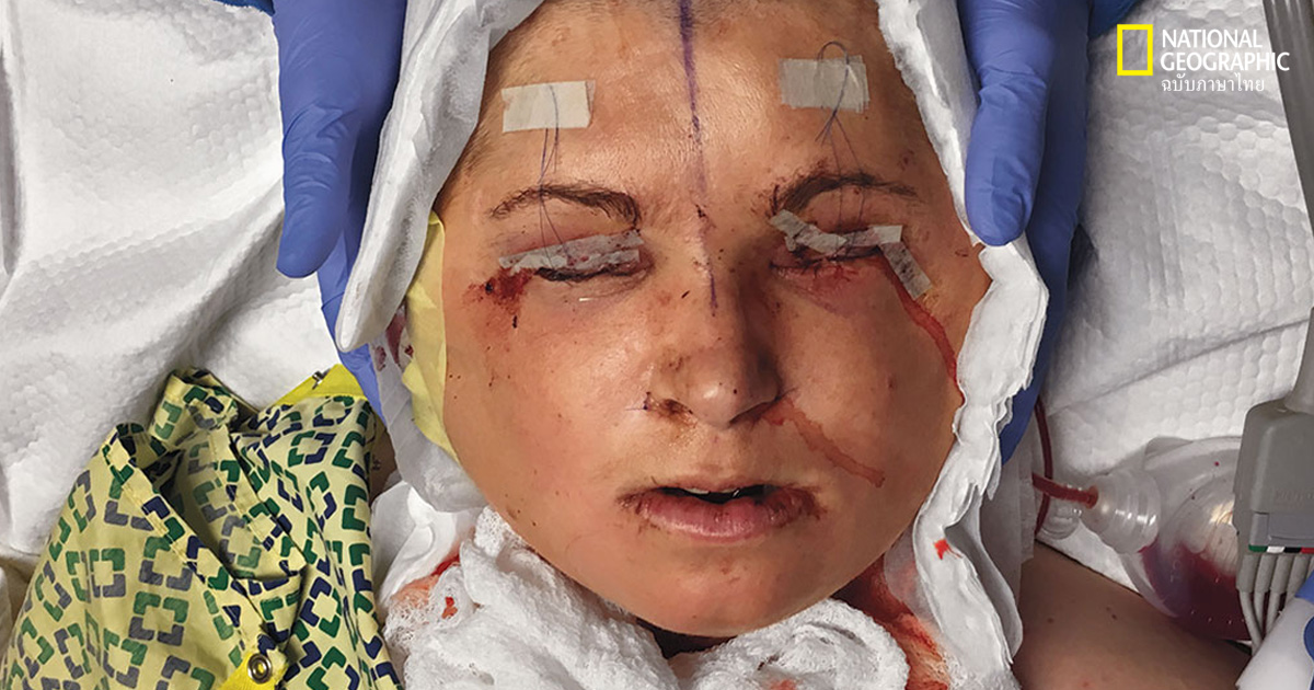 ใบหน้าใหม่ของเคที