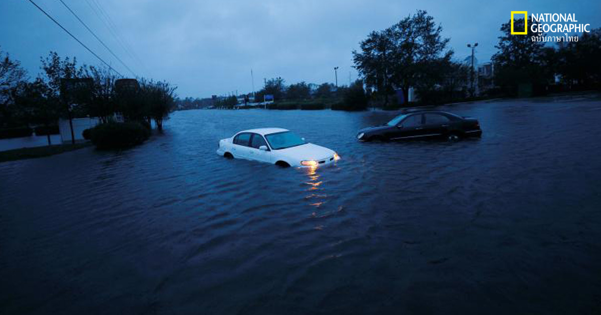 เฮอร์ริเคนฟลอเรนซ์